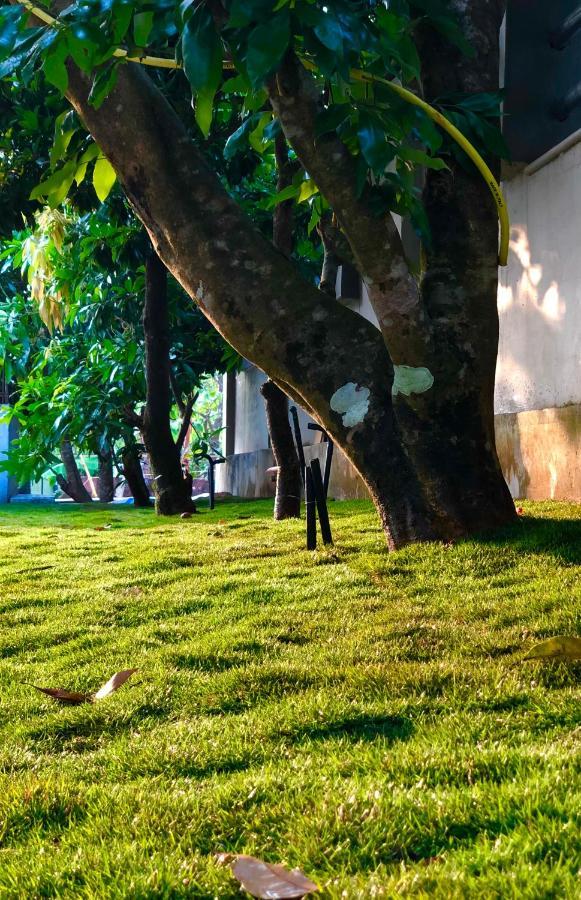 شقة Royal Residency Tindummal المظهر الخارجي الصورة